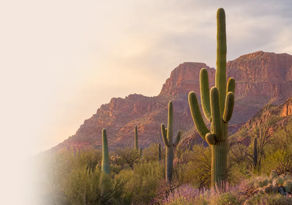 Arizona landmark