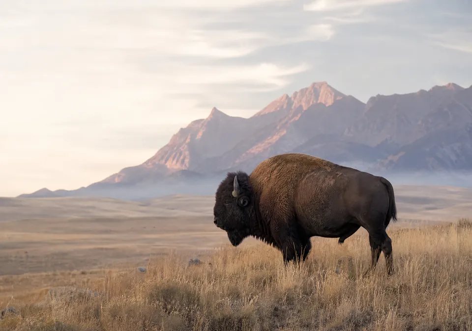 Montana landmark