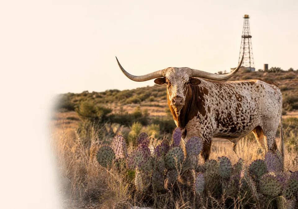 Texas landmark