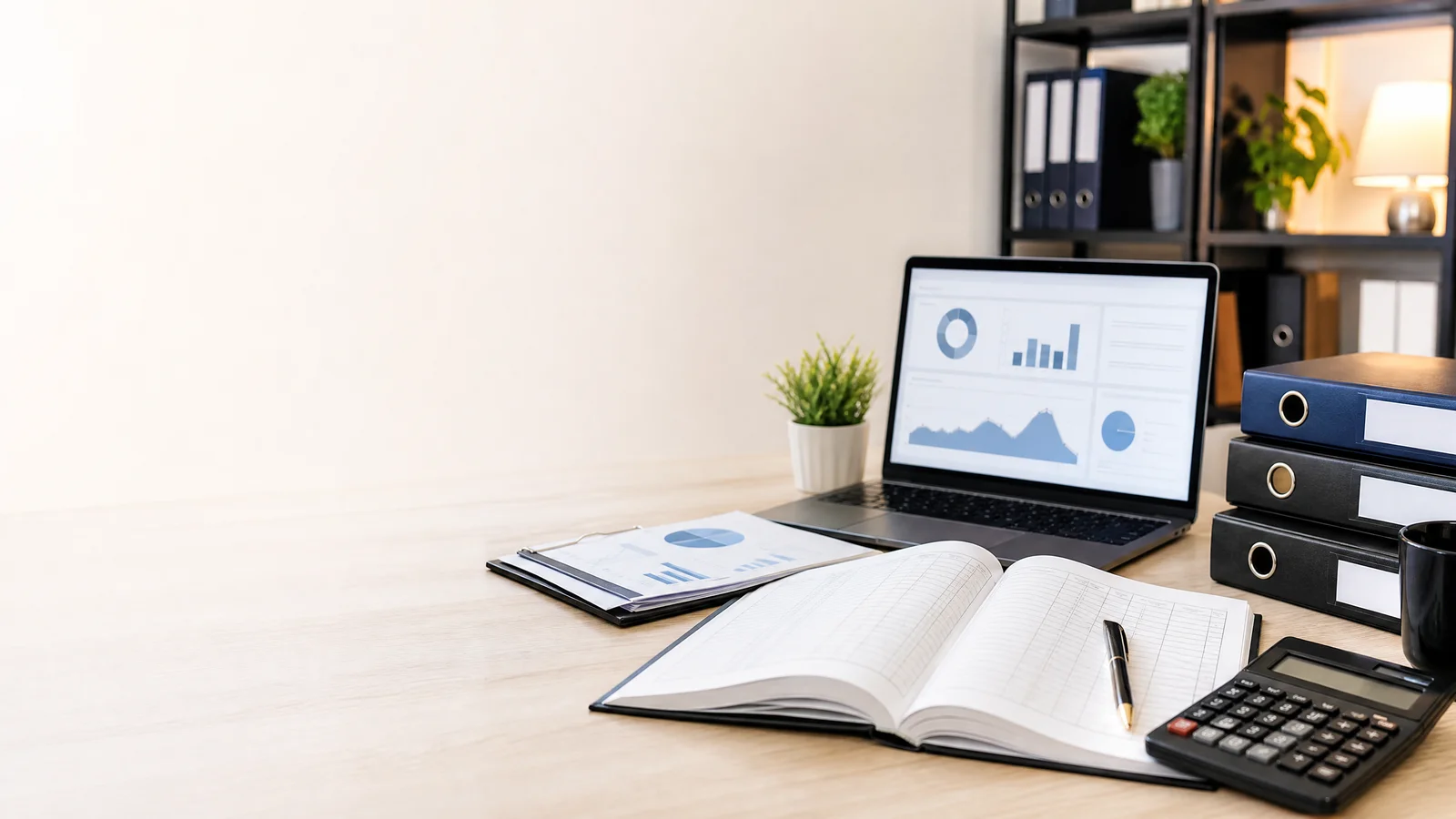 Virtual VCFO Services