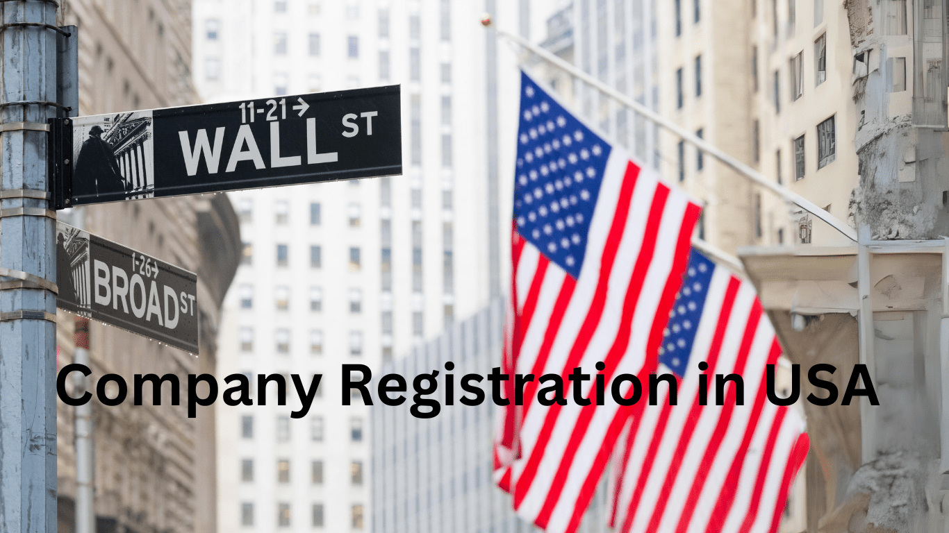 USA 1 USA company registration